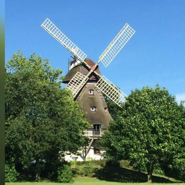 Fewo An Der Muehle Hasselberg  ภายนอก รูปภาพ